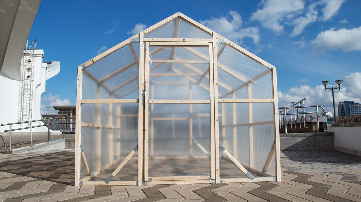 Gable end of a NORDIC wooden greenhouse with the door, pine frame and polycarbonate panels