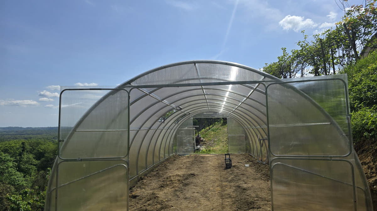 SteelRoot Grand 4.00 galvanised steel arch greenhouse with both end doors open