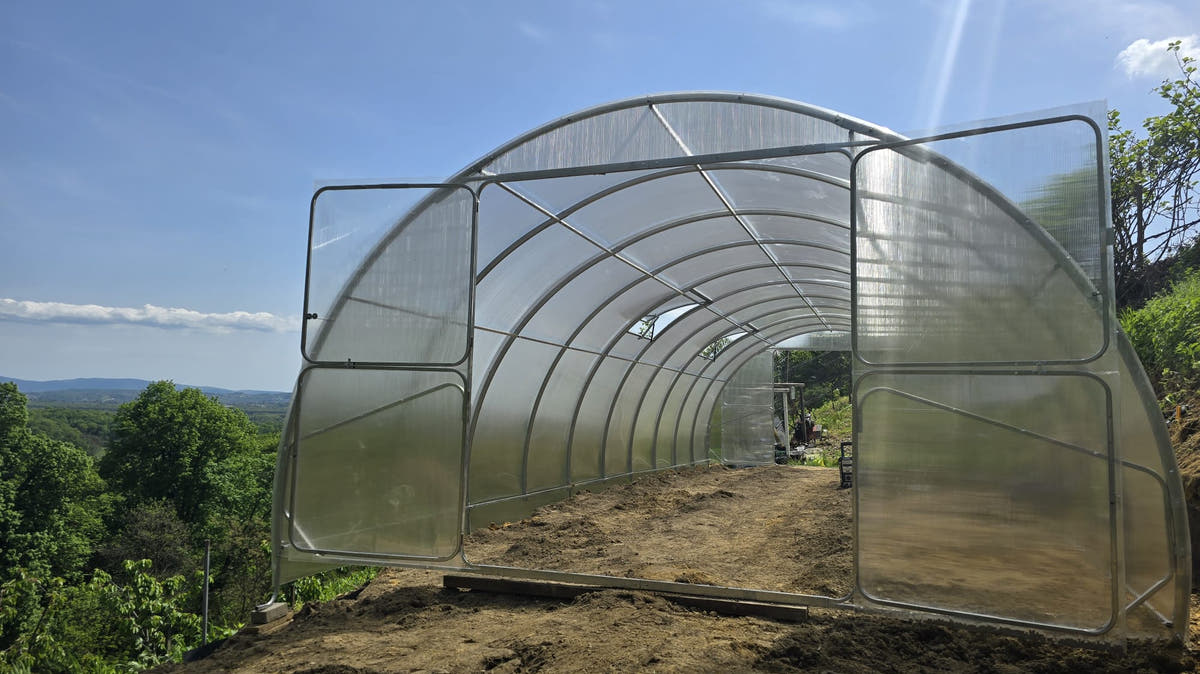Galvanised steel arches of a SteelRoot Grand 4.00 greenhouse, seen through the open end