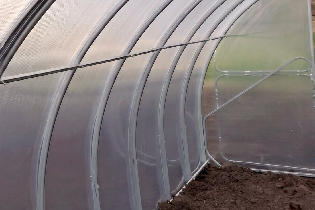 Inside a SteelRoot Plot 3.14: galvanised steel arches under screw-fixed twin-wall polycarbonate