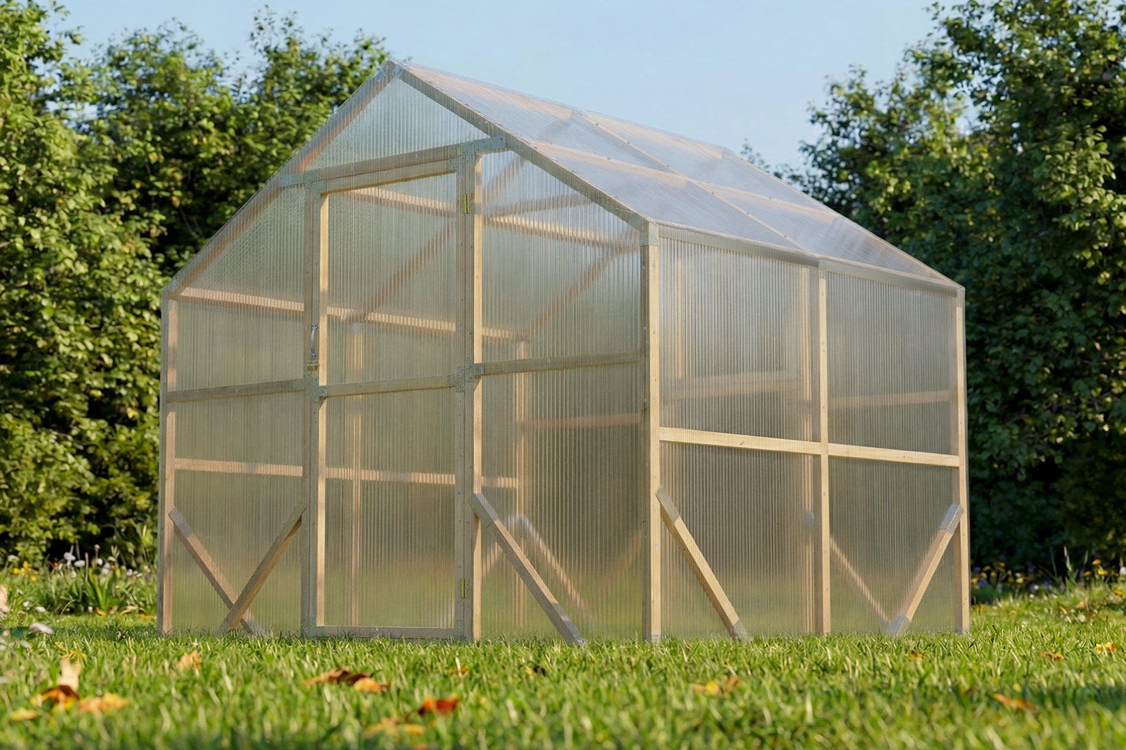 Cold Frame vs Mini Greenhouse vs Full Greenhouse: Which is Right for You