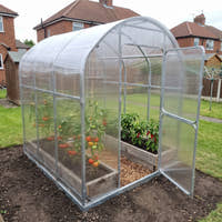 SteelRoot Climber 2.10 greenhouse, three-quarter view: galvanised steel arches, raised beds with tomatoes and chillies