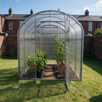 SteelRoot Climber 2.10 greenhouse on a lawn, door open, peppers in pots and tomatoes in the bed