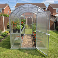 SteelRoot Climber 2.10 greenhouse, door ajar, staging with chillies and basil, tomatoes in the bed