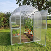 SteelRoot Climber 2.10 greenhouse with staging for salad seedlings and a row of tomatoes, door open