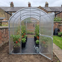 SteelRoot Climber 2.10 greenhouse in a small walled garden, door open, tomatoes, peppers and basil in pots