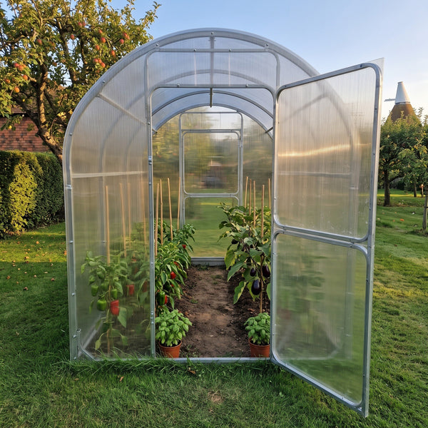 SteelRoot Climber 2.10 walk-in greenhouse with the door open, peppers, aubergines and basil growing inside