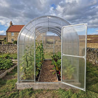 SteelRoot Climber 2.10 tall narrow greenhouse on a timber base, door open, cucumbers and chard inside