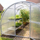 SteelRoot 3.14m greenhouse interior — 6mm twin-wall polycarbonate side panel, screw-fixed with EPDM-style washers