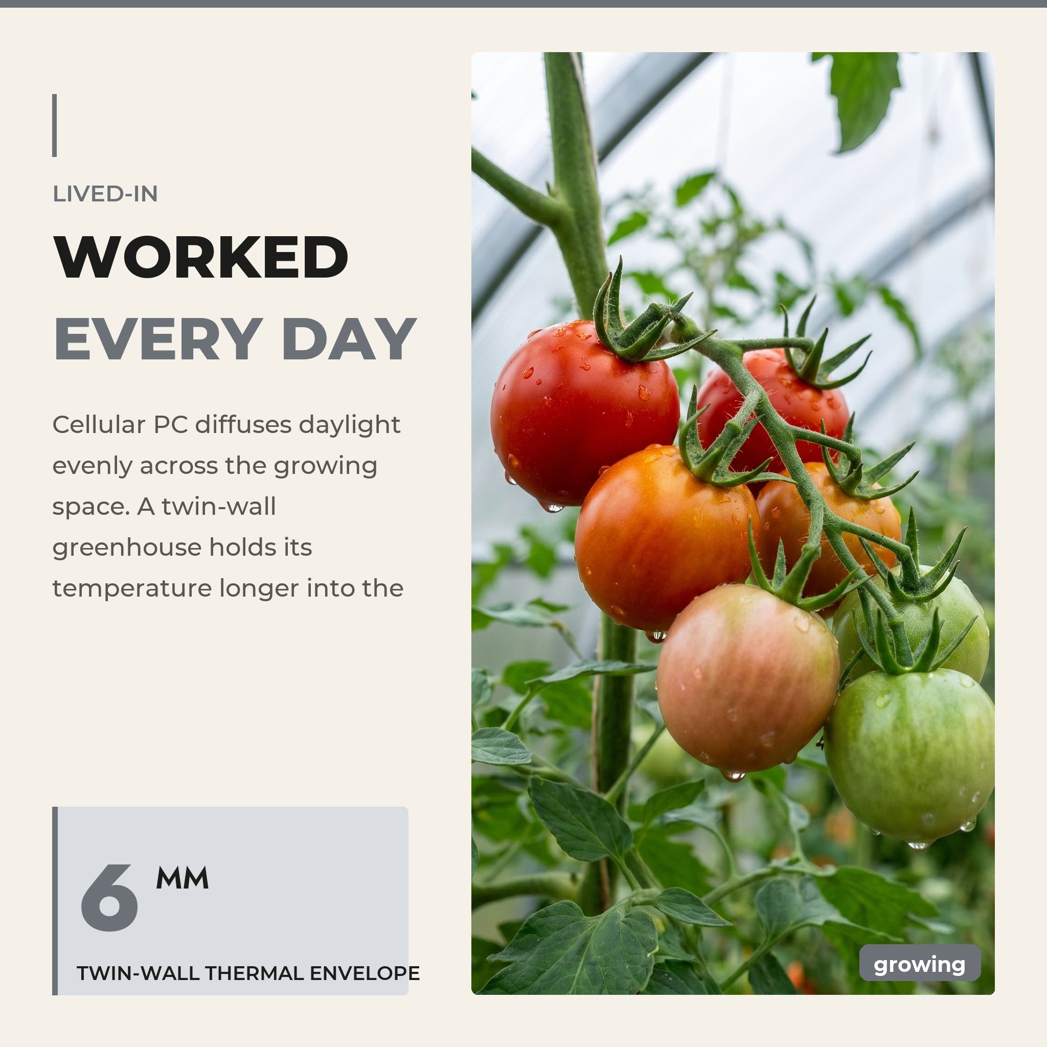 Tomato vine-proof internal layout