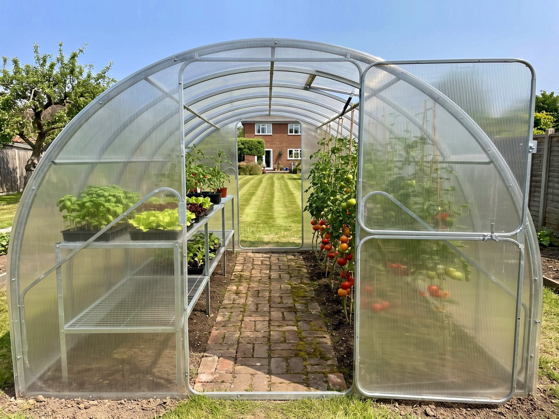 SteelRoot Plot 3.14 polycarbonate arch greenhouse in a garden, tomatoes growing inside